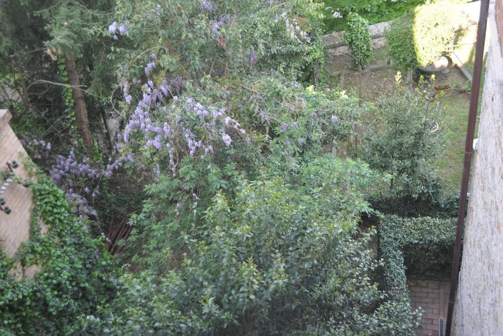 Il Profumo Del Lauro Leilighet Perugia Eksteriør bilde