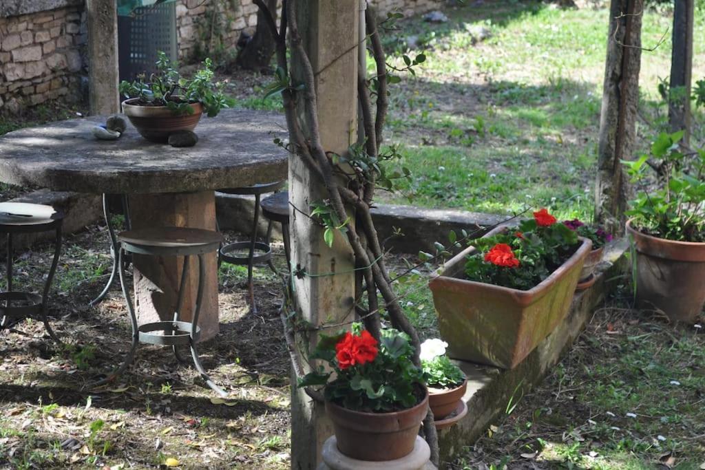 Il Profumo Del Lauro Leilighet Perugia Eksteriør bilde